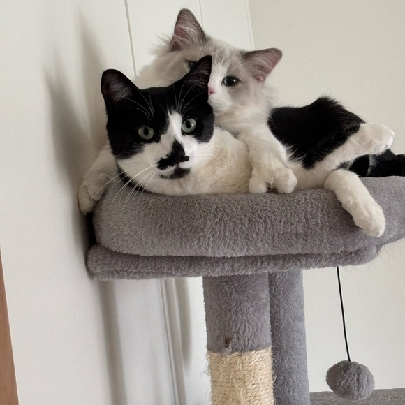 Meet your Posher, Maria - Picture 2 of 4